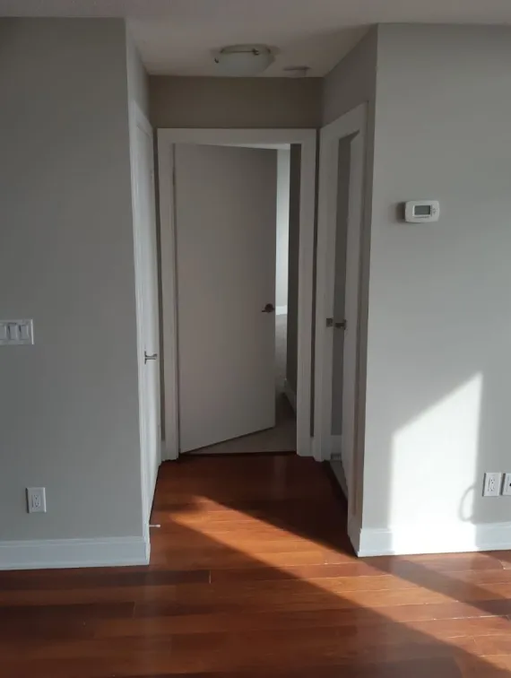 Professional painting upholstery cleaning